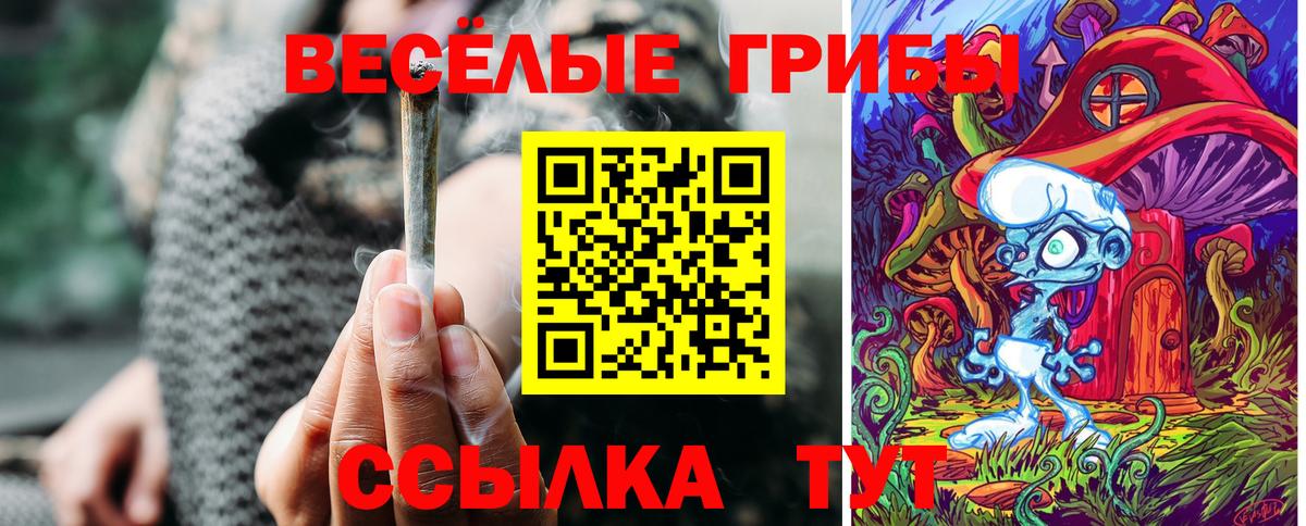 Псилоцибиновые грибы MAGIC MUSHROOMS Белово